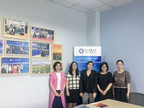 電子科技大學(xué)成電新聞網(wǎng)在技術(shù)咨詢與交流中的創(chuàng)新實(shí)踐